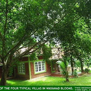  Resort Wayanad Blooms